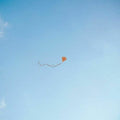 Chris Stussy: Lost, Found & Forgotten - Vinyl