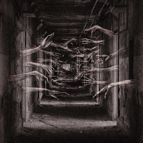 Demonic Possessor: Porous Chambers - VINYL