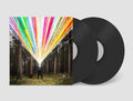 Younger Brother: Mutually Assured Distraction - Vinyl