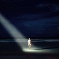Ellen Allien: New Life - Vinyl