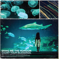 Bring Me the Horizon: Count Your Blessings - VINYL