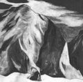 Midori Hirano: The Juniper Tree - VINYL