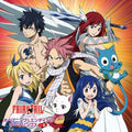 Various Artists: TV Anime "FAIRY TAIL" Opening & Ending Songs Vol.2 (Original Soundtrac k) - VINYL