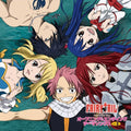 TV Anime Fairy Tail Opening & Ending Songs 3 / Var: TV Anime "FAIRY TAIL" Opening & Ending Songs Vol.3 (Original Soundtrac k) - VINYL