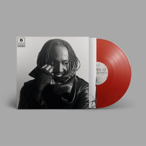 Thundercat - Distracted ( VINYL )