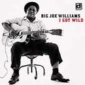 Big Joe Williams: I Got Wild  ( CD )