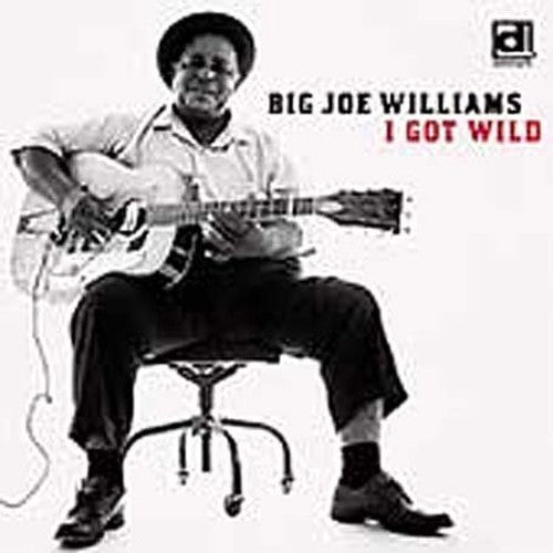 Big Joe Williams: I Got Wild  ( CD )