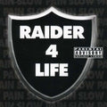 Slow Pain: Raider 4 Life  ( CD )
