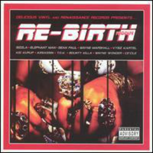 Various Artists: Re Birth Riddim - VINYL