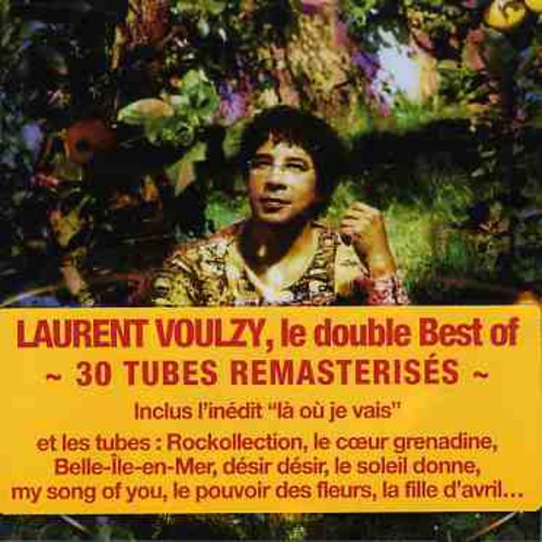 Laurent Voulzy: Saisons - Best of - CD