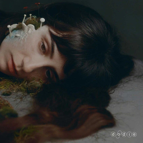 dodie - Not For Lack Of Trying ( VINYL )