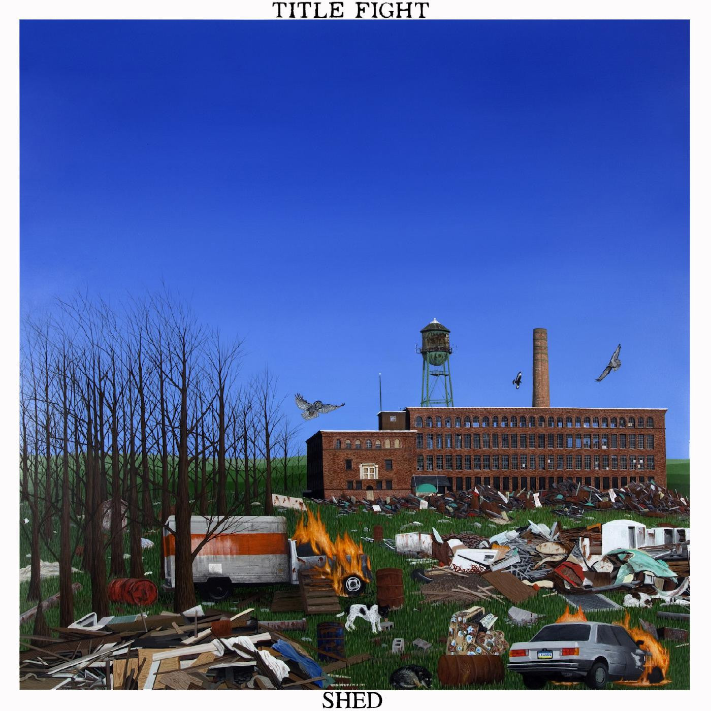 Title Fight - Shed ( VINYL )