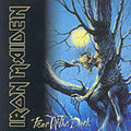 Iron Maiden: Fear Of The Dark (enhanced) (eng) - CD