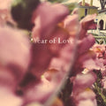Beta Radio: Year Of Love - CD