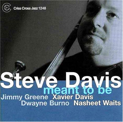 Steve Davis: Meant to Be - CD