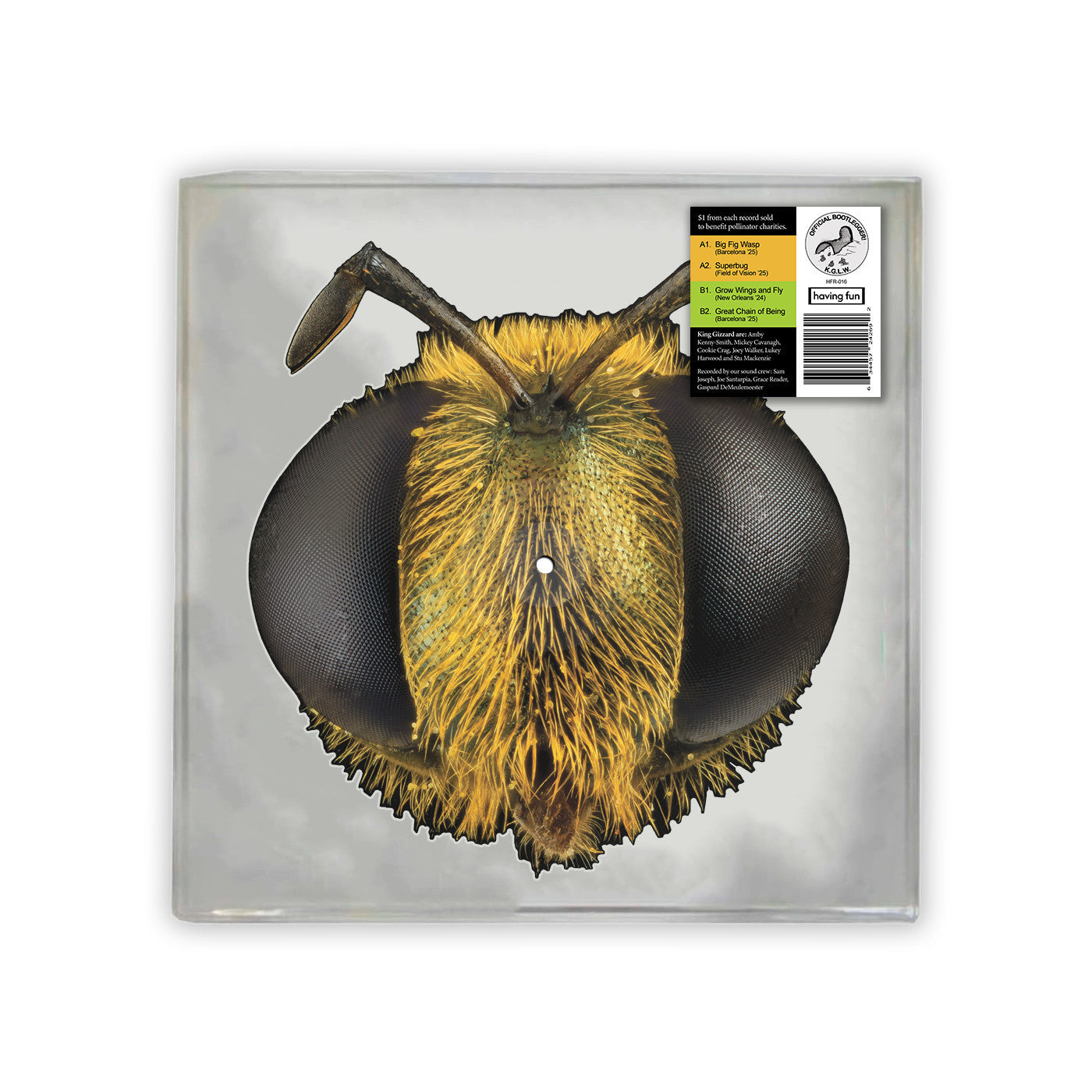 King Gizzard & The Lizard Wizard - Big Fig Wasp - RSD Bee EP