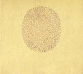 Devendra Banhart: Banhart, Devendra : Nino Rojo  ( CD )