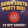 Various Artists: Down South Party Mix  ( CD )