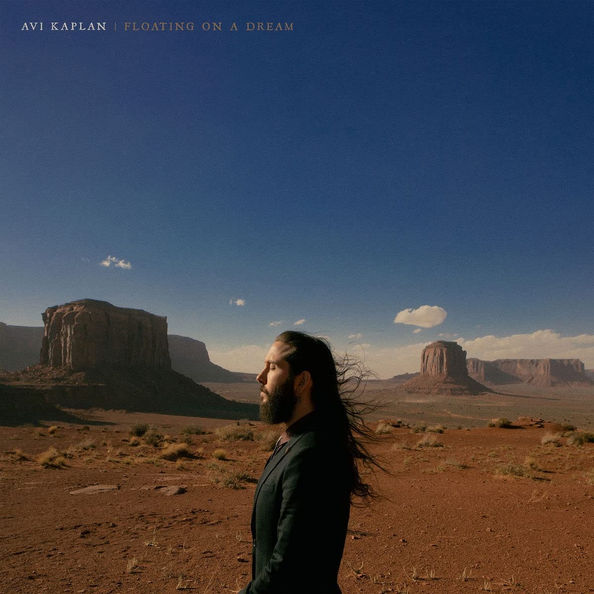 Avi Kaplan: Floating On A Dream - VINYL
