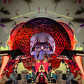 The Planet The: You Absorb My Vision  ( CD )