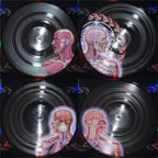 Tool - Lateralus - Picture Disc LP