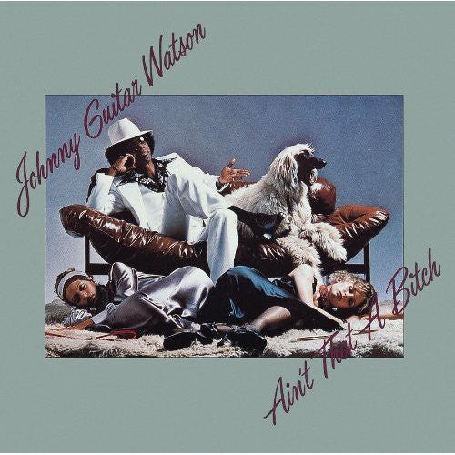 Johnny Watson Guitar: Ain't That a Bitch  ( CD )
