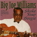 Big Joe Williams: Shake Your Boogie  ( CD )