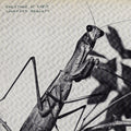 Courtney Barnett - Creature of Habit ( VINYL )
