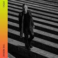 Sting - The Bridge ( VINYL )