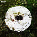 Bonobo: Days to Come - VINYL