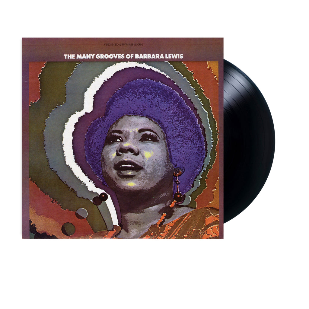 Barbara Lewis - The Many Grooves of Barbara Lewis ( VINYL )