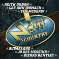 Various Artists: Vol. 1-Now Country  ( CD )