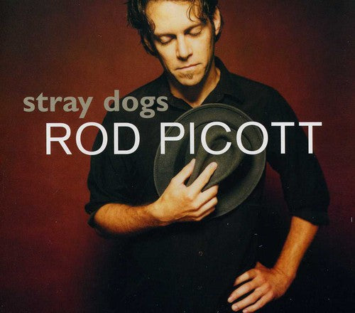 Rod Picott: Stray Dogs  ( CD )