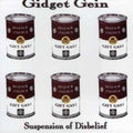 Gidget Gein: Suspension of Disbelief - CD