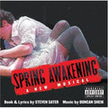 Various Artists: Spring Awakening: A New Musical - CD