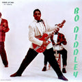 Bo Diddley - Bo Diddley - Acoustic Sounds Series LP
