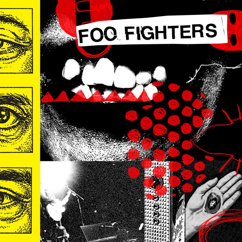 Foo Fighters - Your Favorite Toy ( VINYL )
