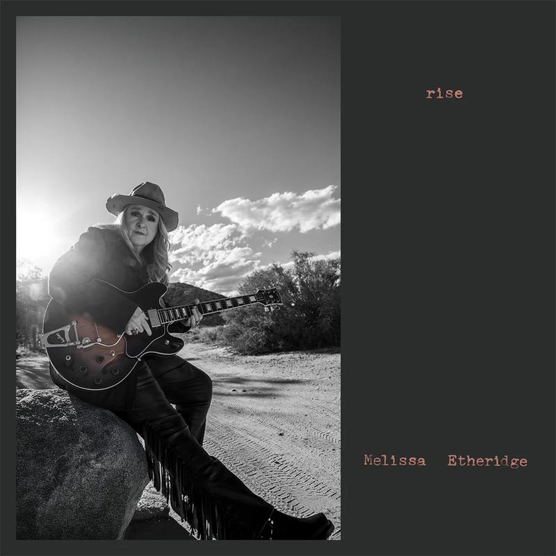 Melissa Etheridge - Rise ( VINYL )