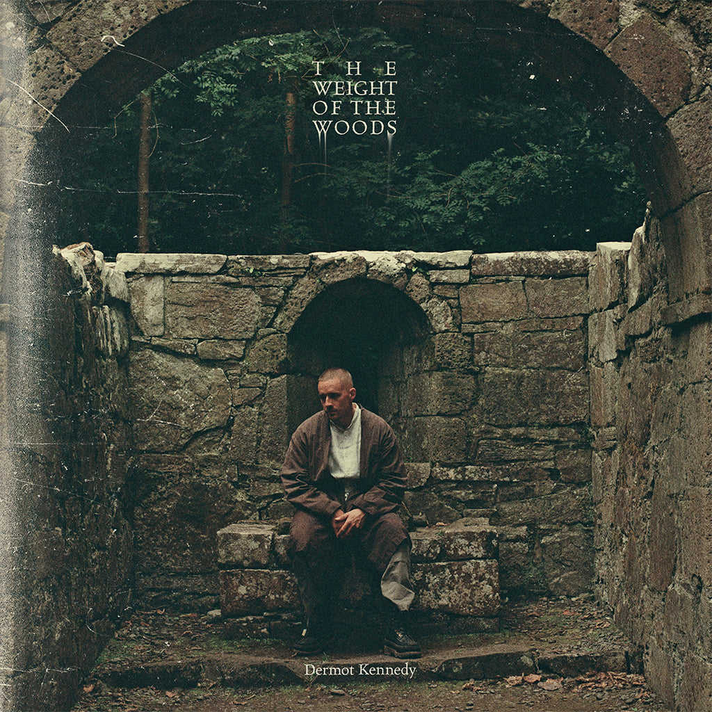 Dermot Kennedy - The Weight of the Woods ( VINYL )