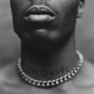 DMX - Exodus ( VINYL )