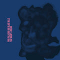 Pino Palladino & Blake Mills - That Wasn't a Dream ( VINYL )