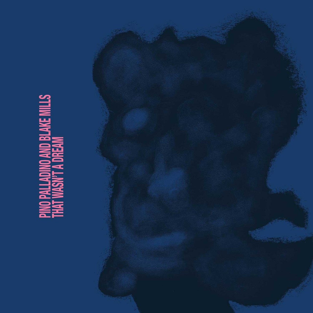 Pino Palladino & Blake Mills - That Wasn't a Dream ( VINYL )
