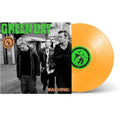 Green Day - Warning (25th Anniversary) ( VINYL )