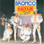Bronco - Salvaje y Tierno ( VINYL )