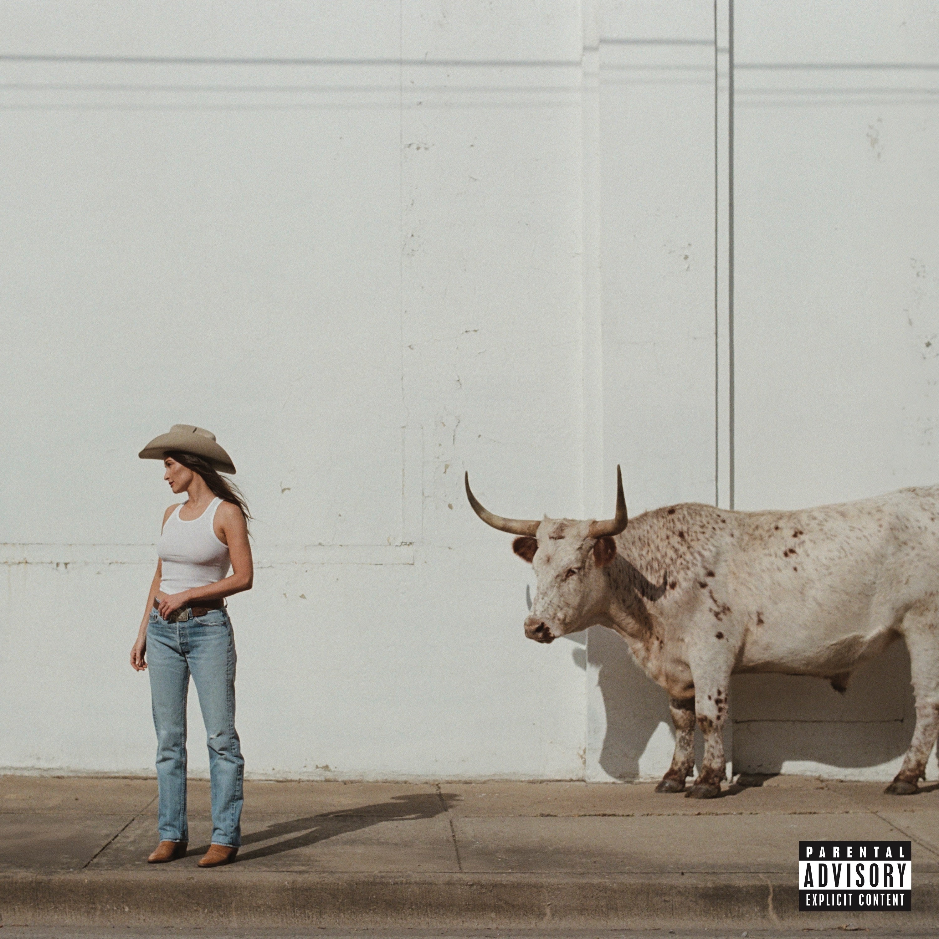 Kacey Musgraves - Middle Of Nowhere ( VINYL )