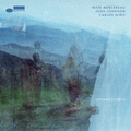 Nate Mercereau, Josh Johnson, Carlos Niño - Openness Trio ( VINYL )