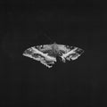 Kendrick Lamar - To Pimp A Butterfly (10th Anniversary) ( VINYL )