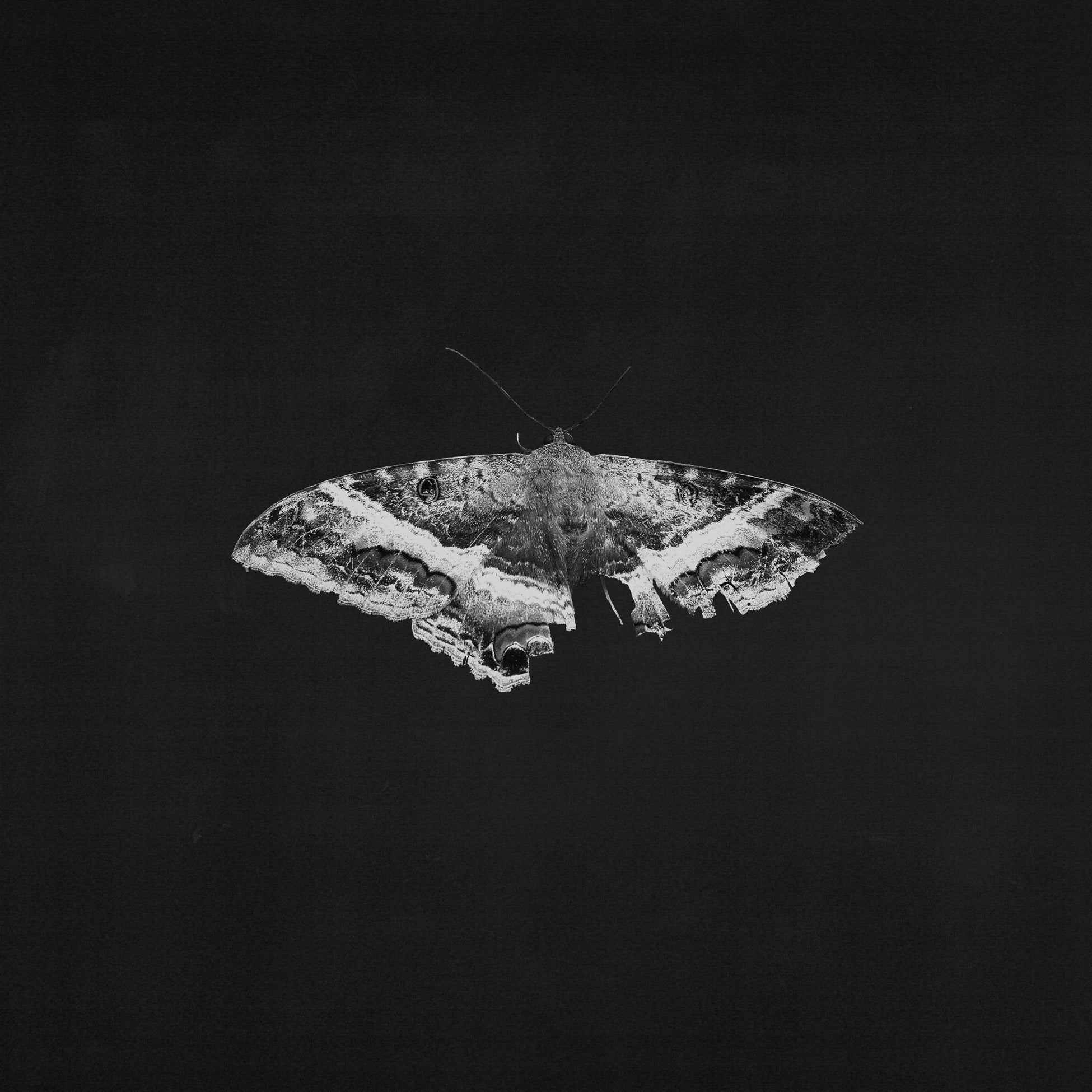 Kendrick Lamar - To Pimp A Butterfly (10th Anniversary) ( VINYL )