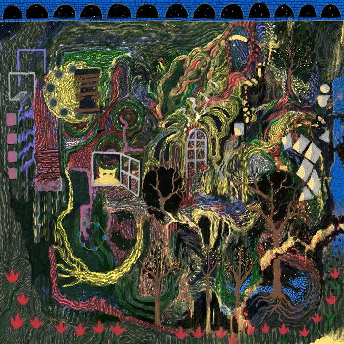 King Gizzard and the Lizard Wizard - Demos Vol. 5 + Vol. 6 ( VINYL )