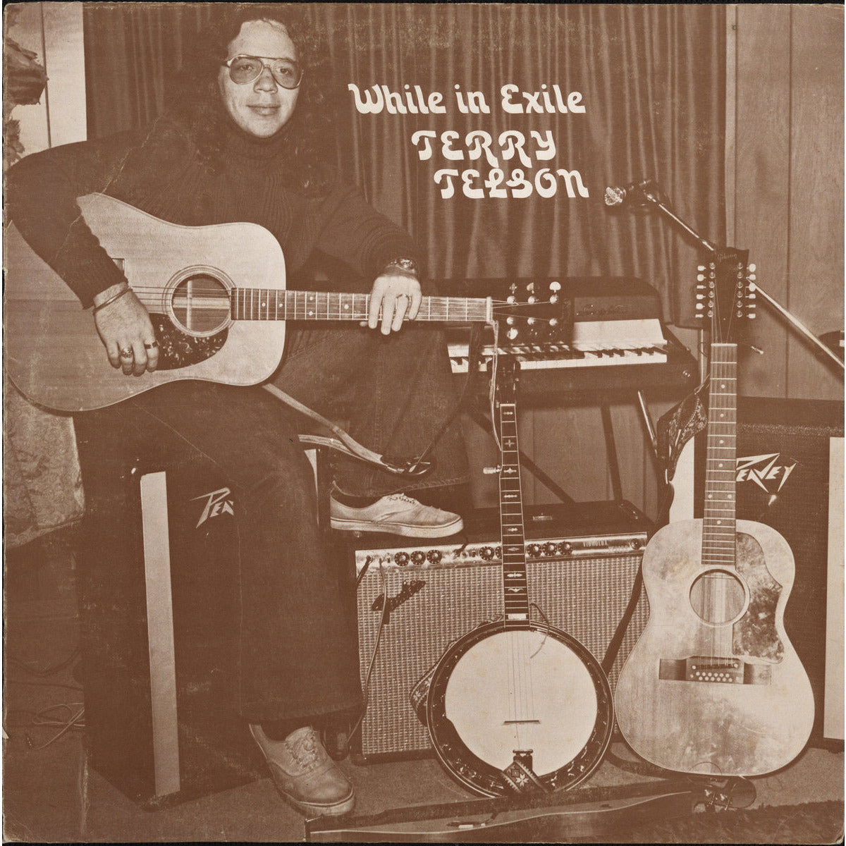 Terry Telson - While in Exile ( VINYL )